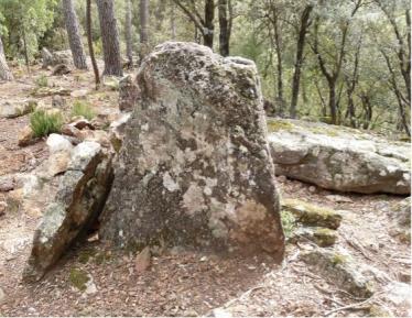 dolmen patus